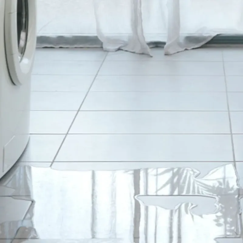 Appliance Leak Cleanup in Mill Plain, WA