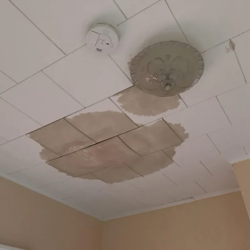 Ceiling Water Damage Repair in Mill Plain, WA
